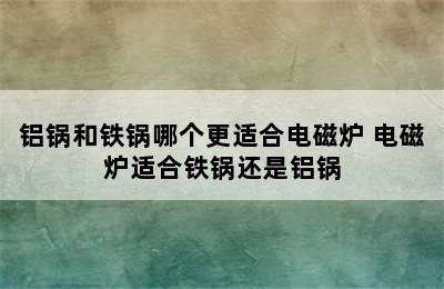 铝锅和铁锅哪个更适合电磁炉 电磁炉适合铁锅还是铝锅